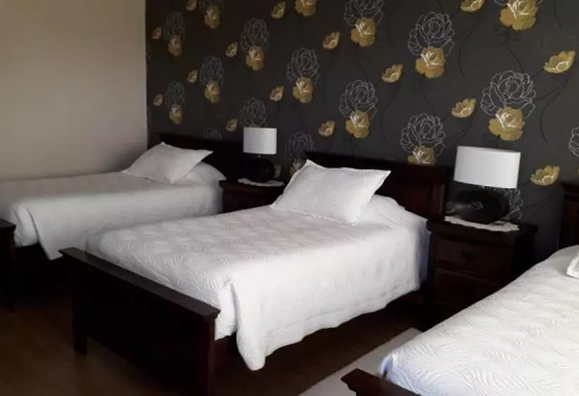 Hotel Pitrufquén