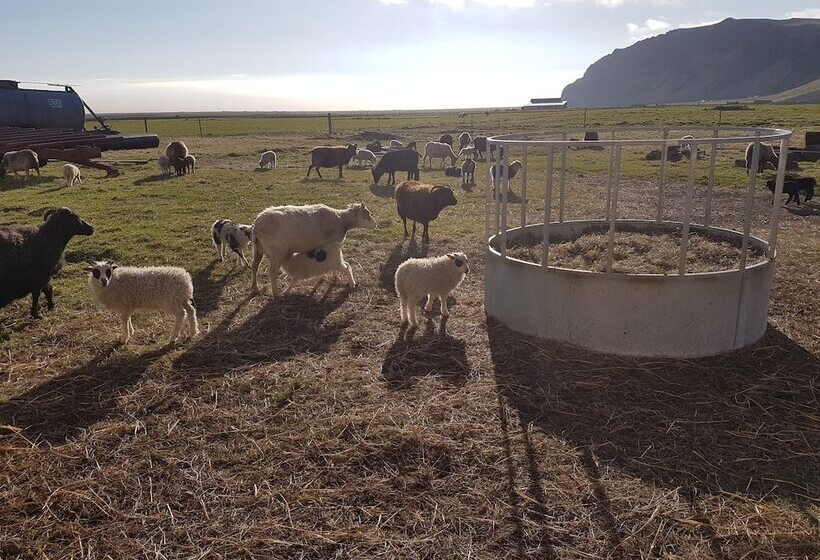 هتل ásólfsskáli Cottage