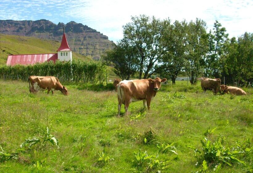 هتل ásólfsskáli Cottage