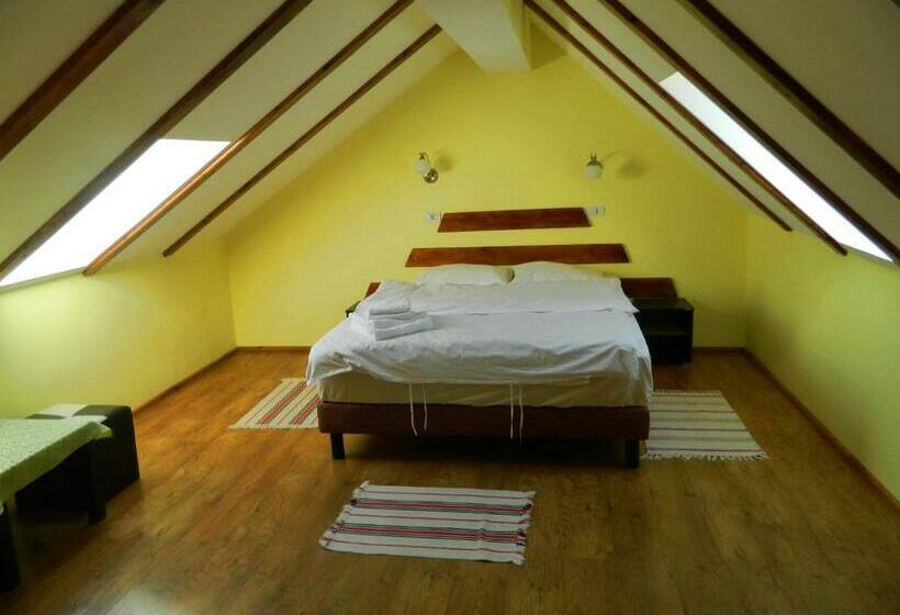 Пансион Hanul Cu Noroc