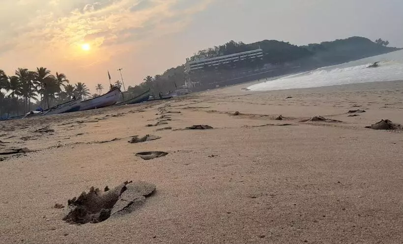 پانسیون Noel Guest House