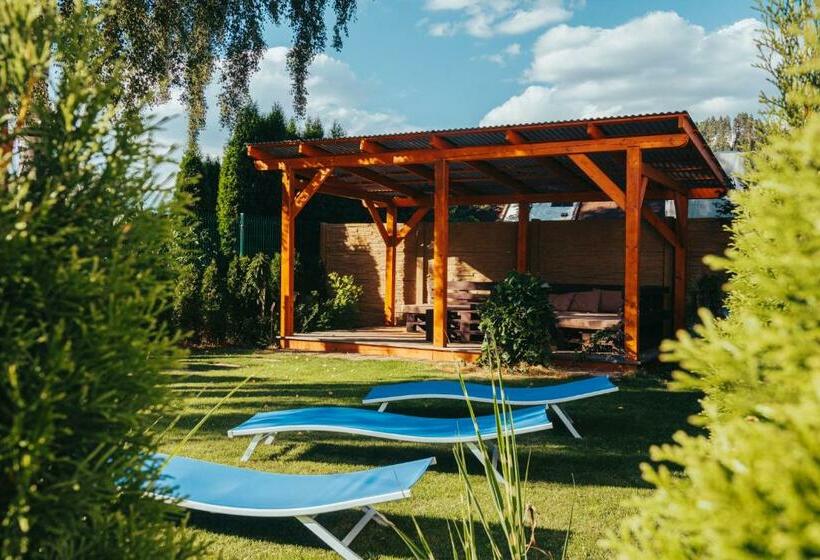 膳宿费 Penzion Larion