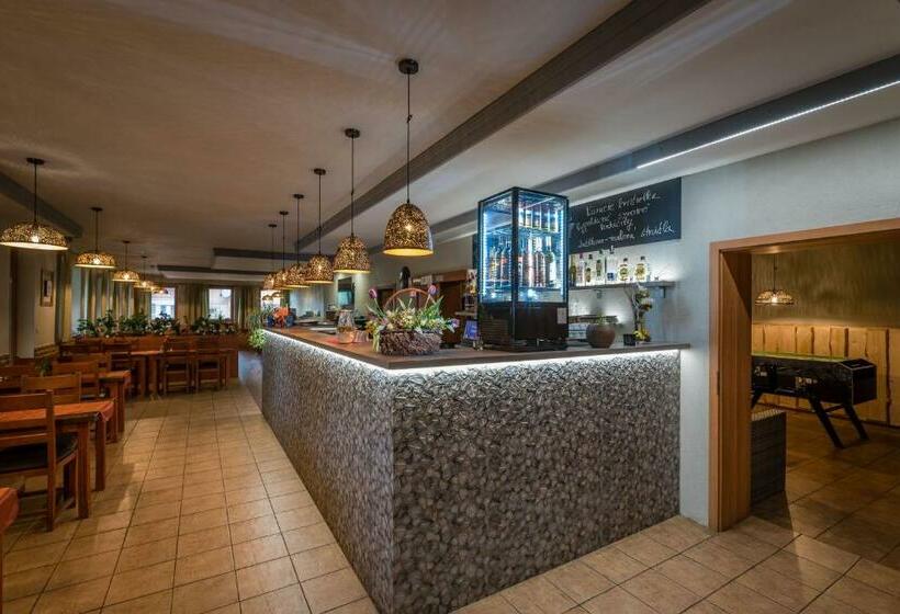 膳宿费 Penzion Larion