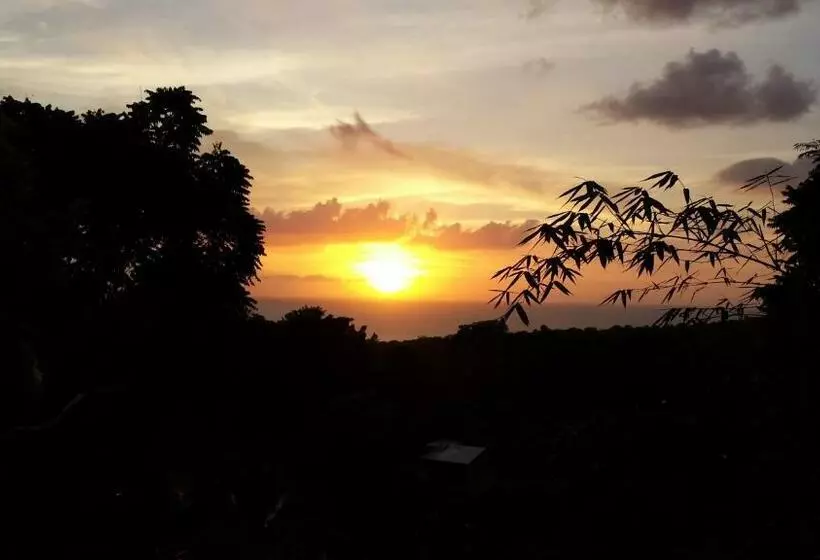 پانسیون Shades Cottage Guesthouse