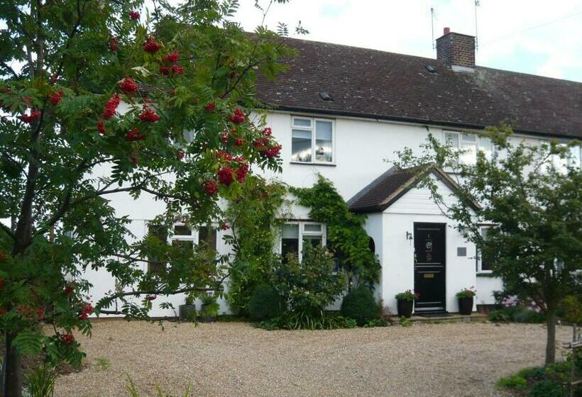 بنسيون The Kings  House