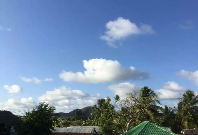 پانسیون Villa Violette