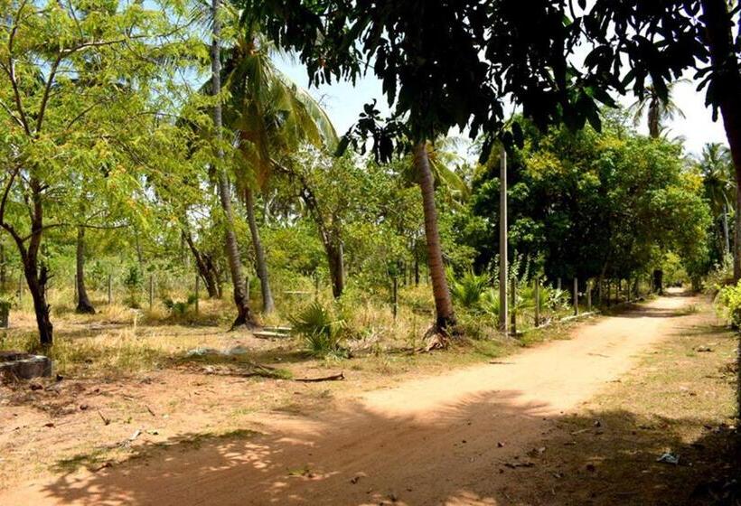 ペンション Yaswi Guest House