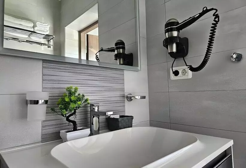 Pensiunea Andrei Moieciu