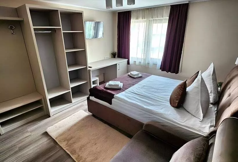 Pensiunea Andrei Moieciu