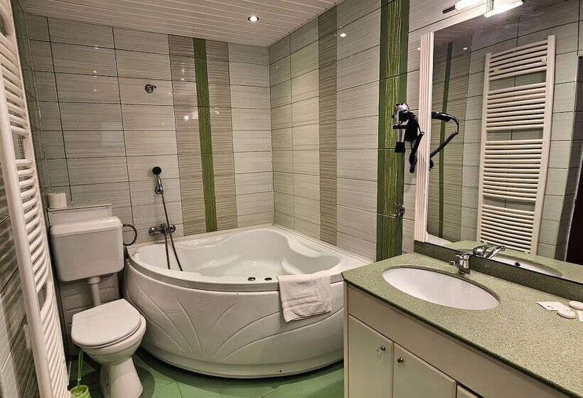 Pensiunea Andrei Moieciu