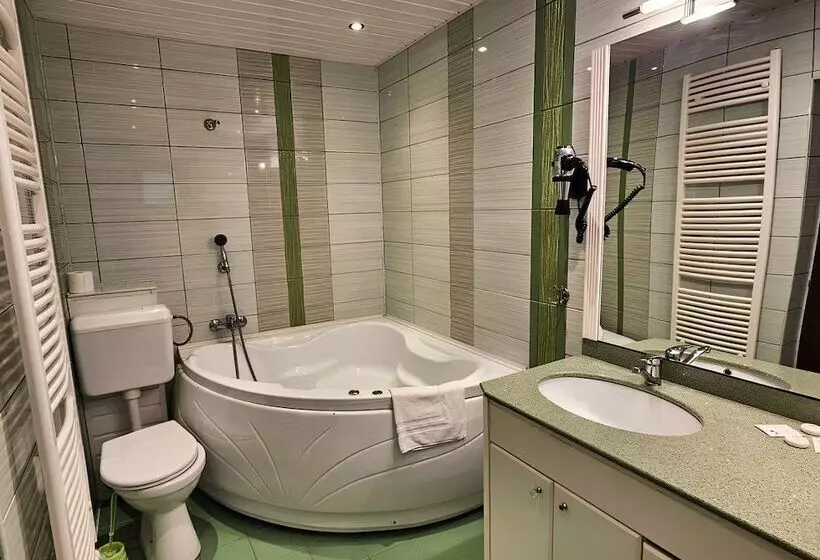 Pensiunea Andrei Moieciu