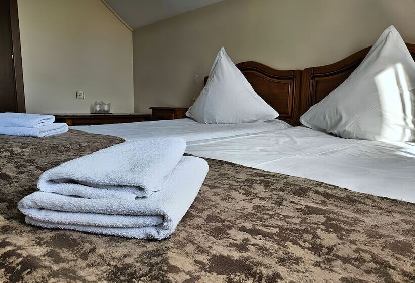 Pensiunea Andrei Moieciu