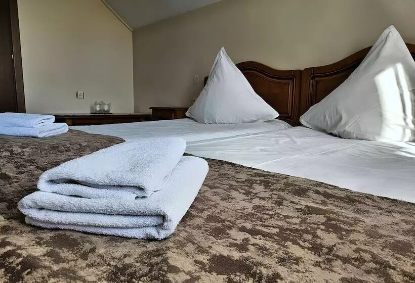 Pensiunea Andrei Moieciu