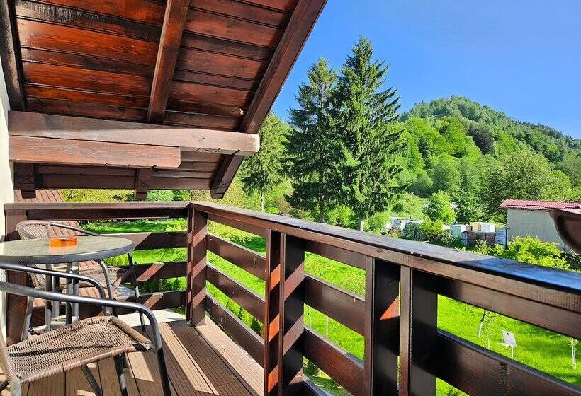 Pensiunea Andrei Moieciu