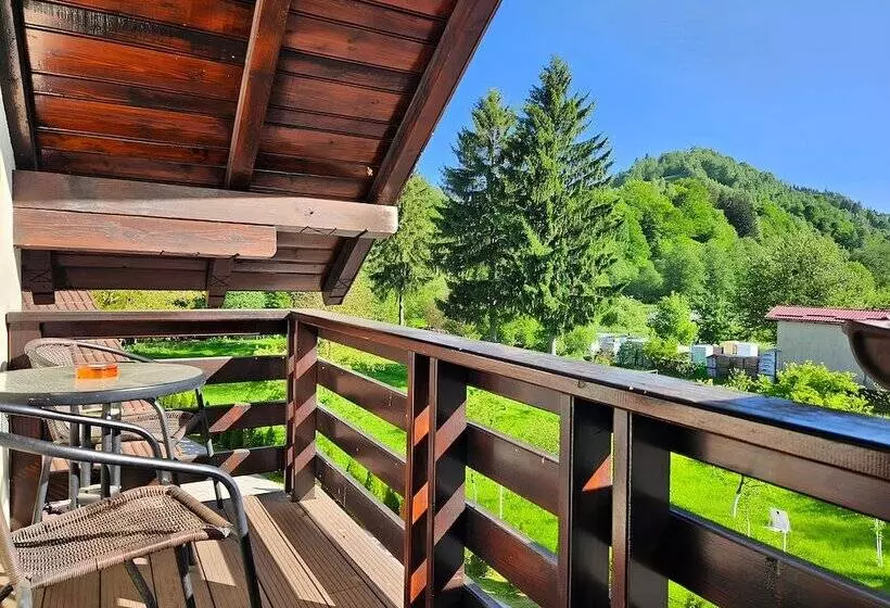 Pensiunea Andrei Moieciu