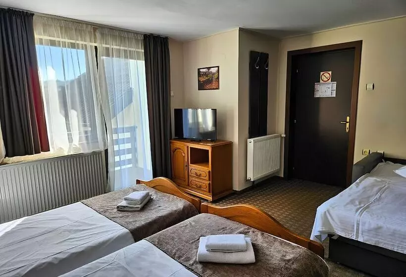 Pensiunea Andrei Moieciu