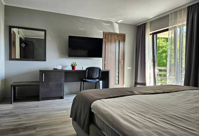 Pensiunea Andrei Moieciu