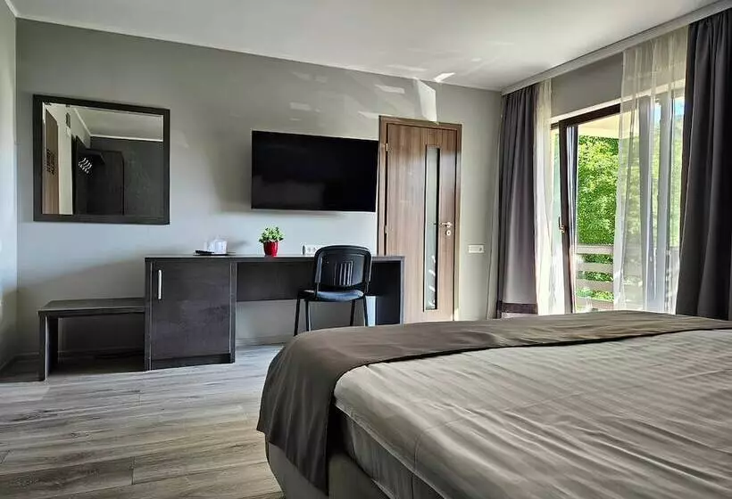 Pensiunea Andrei Moieciu