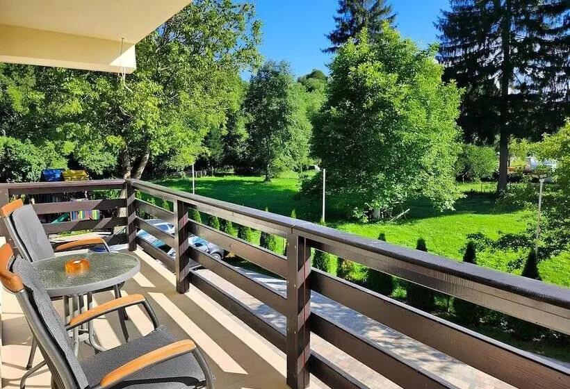 Pensiunea Andrei Moieciu