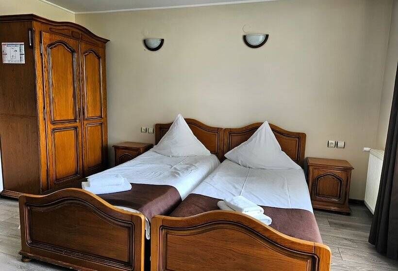 Pensiunea Andrei Moieciu