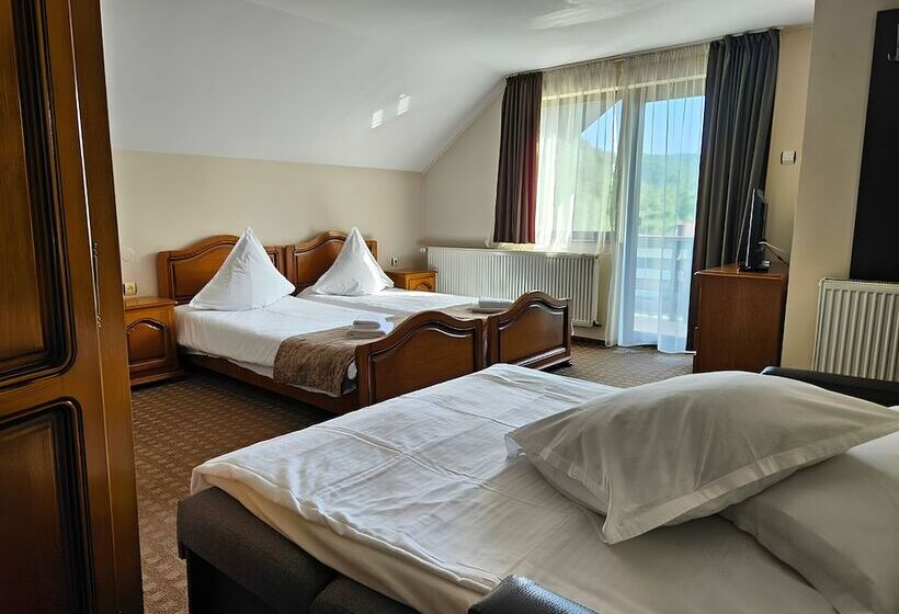 Pensiunea Andrei Moieciu