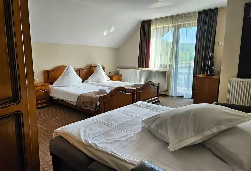 Pensiunea Andrei Moieciu