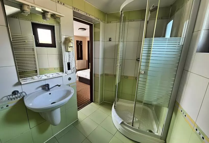 Pensiunea Andrei Moieciu