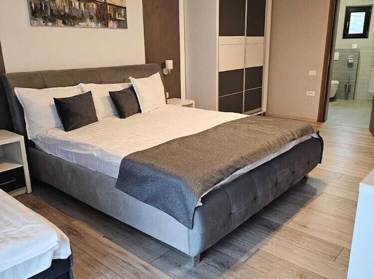 Pensiunea Andrei Moieciu