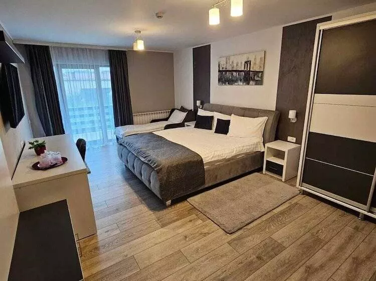 Pensiunea Andrei Moieciu