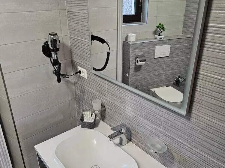 Pensiunea Andrei Moieciu