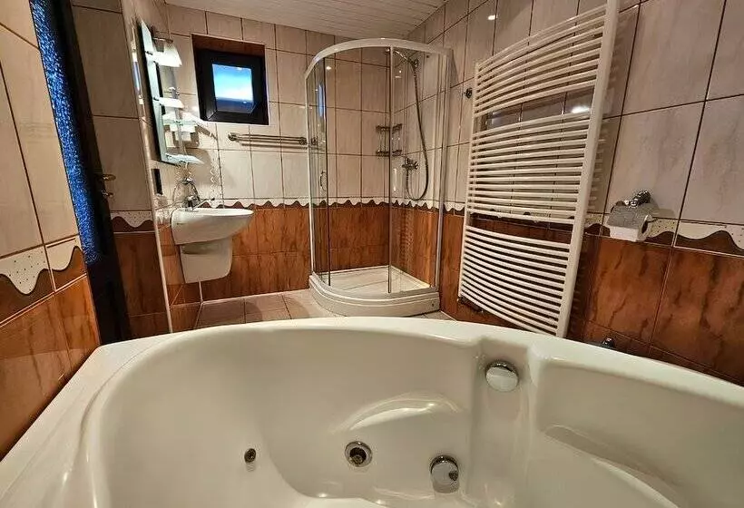 Pensiunea Andrei Moieciu