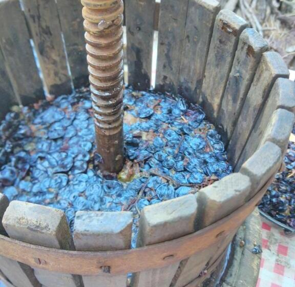 مبيت وإفطار Bed & Diner Les Terrasses De La Palme