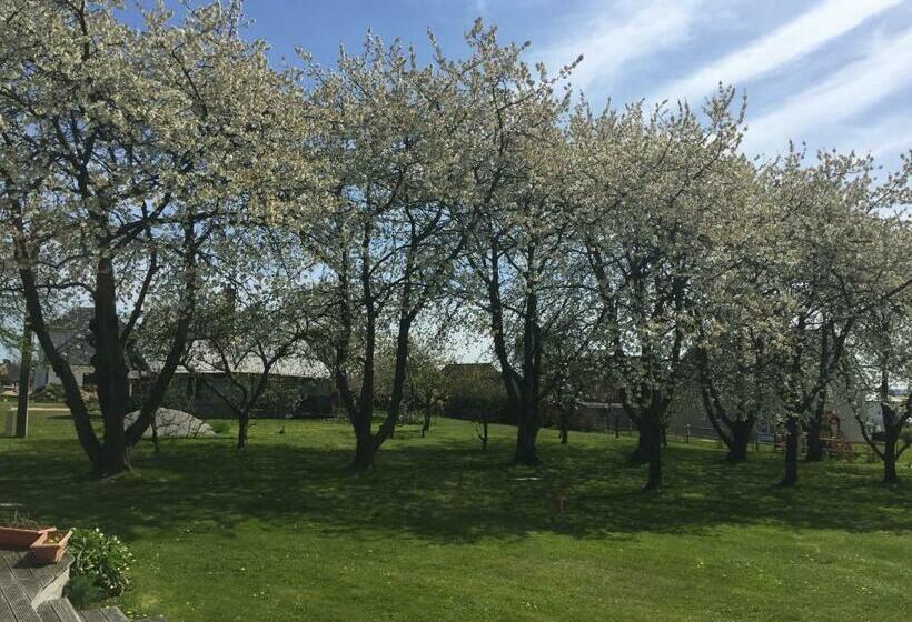 ベッドアンドブレックファースト Chambres D Hôtes Le Clos De La Bertinière Petit Déjeuner Inclus