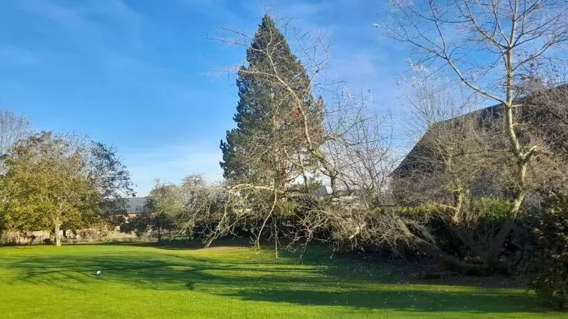 Aamiaismajoitus (B&B) L Armandière