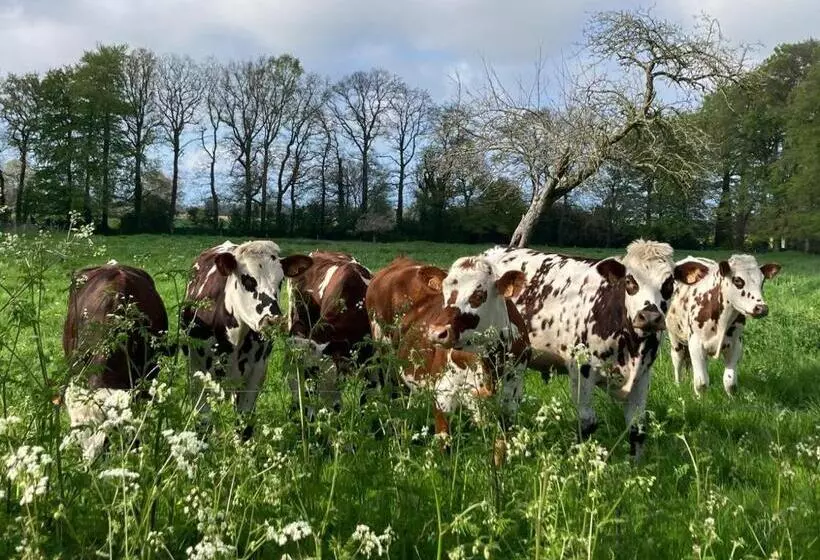 Aamiaismajoitus (B&B) L Armandière