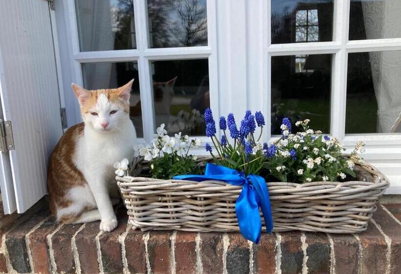 Bed and Breakfast L Armandière