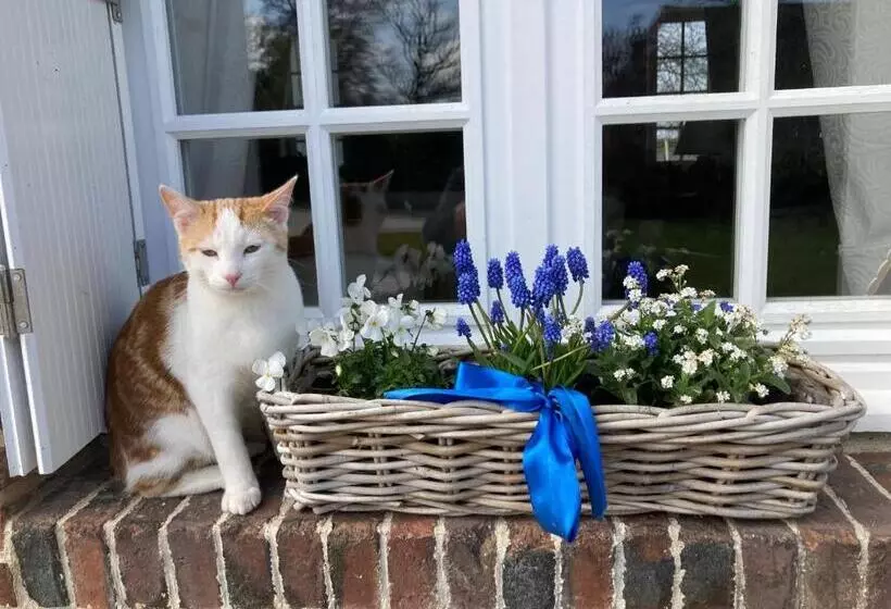 Aamiaismajoitus (B&B) L Armandière