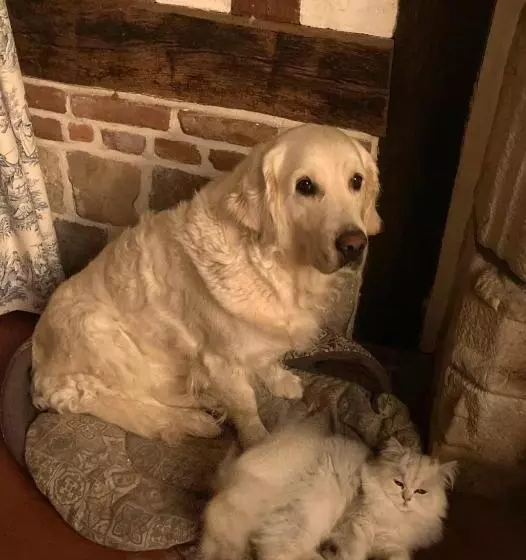 Aamiaismajoitus (B&B) L Armandière