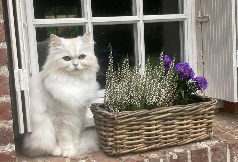 Bed and Breakfast L Armandière