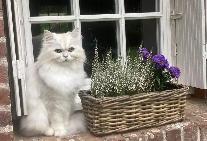 Aamiaismajoitus (B&B) L Armandière