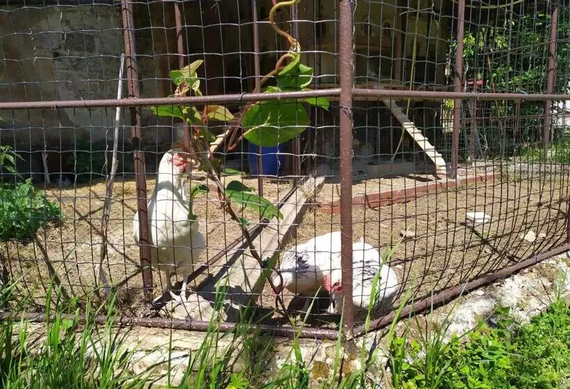 Aamiaismajoitus (B&B) La Fée Des Eaux