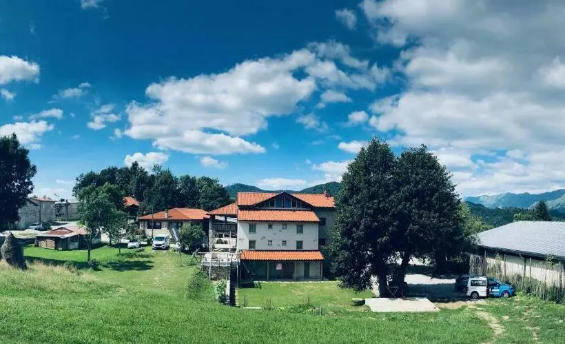 B&b Mad Mountain