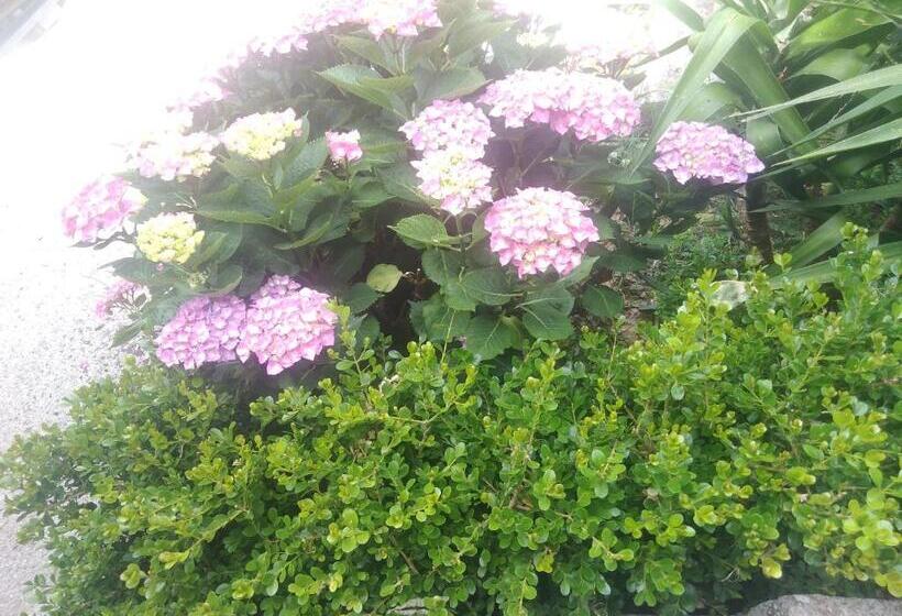 Отель Azienda Agrituristica Le Prunelle