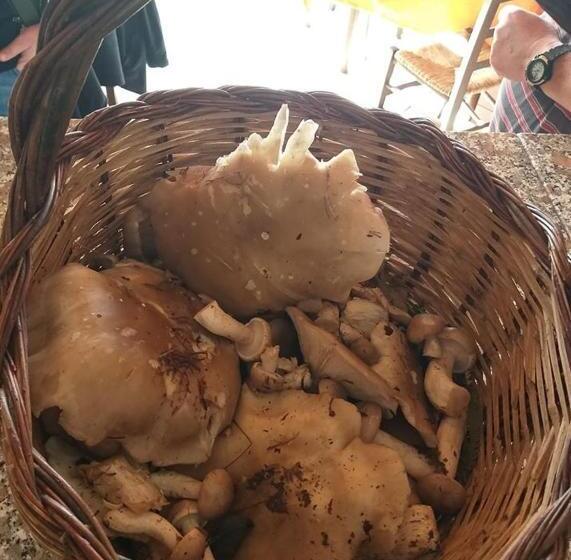 Отель Azienda Agrituristica Le Prunelle