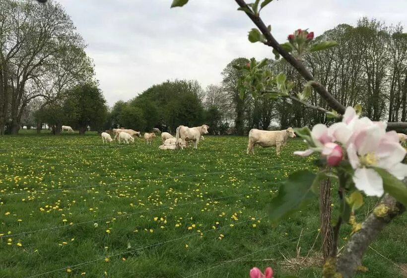Pensione Au Gré Des Saisons