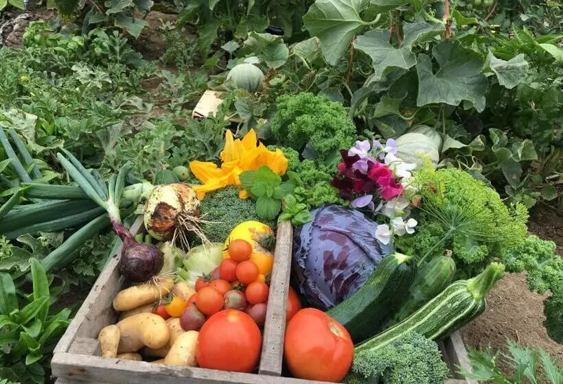 Pensione Au Gré Des Saisons