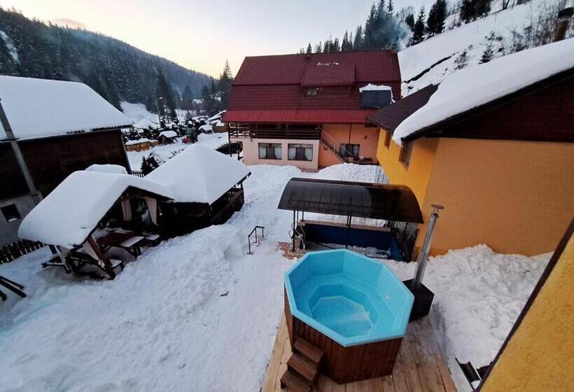 پانسیون Cabana Dan Arieseni