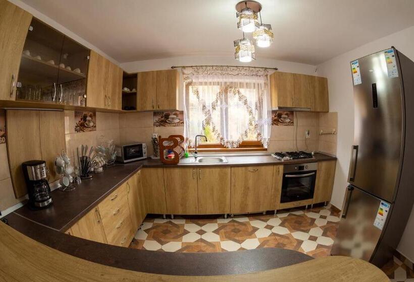 پانسیون Cabana Dan Arieseni