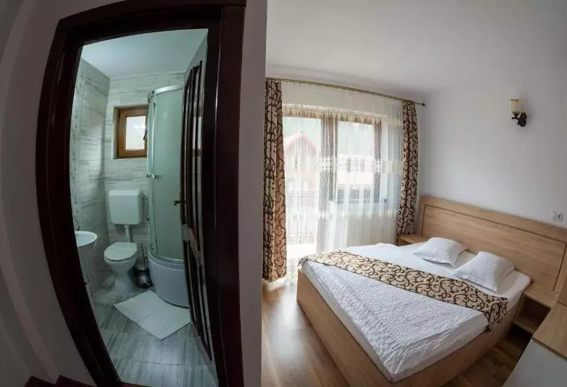 ペンション Cabana Dan Arieseni