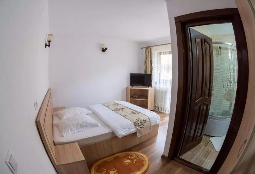 ペンション Cabana Dan Arieseni